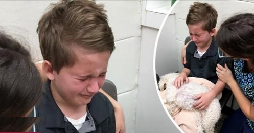 Adoptierter Junge tröstet sterbenden Hund:  Ich weiß, wie es ist, nicht geliebt zu werden 